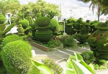 Imagen Tallados en ciprés